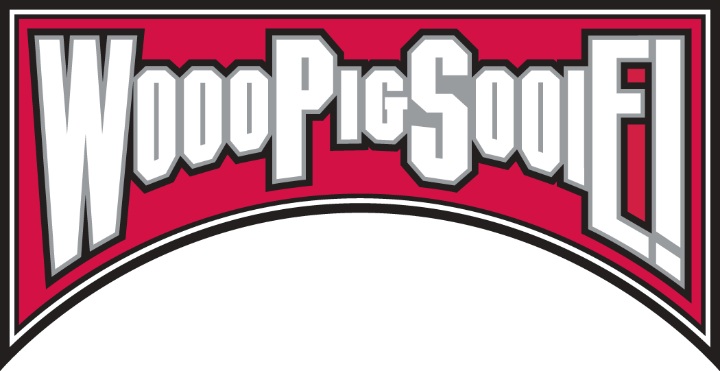 Arkansas Razorbacks 2001-2008 Wordmark Logo v4 diy iron on heat transfer